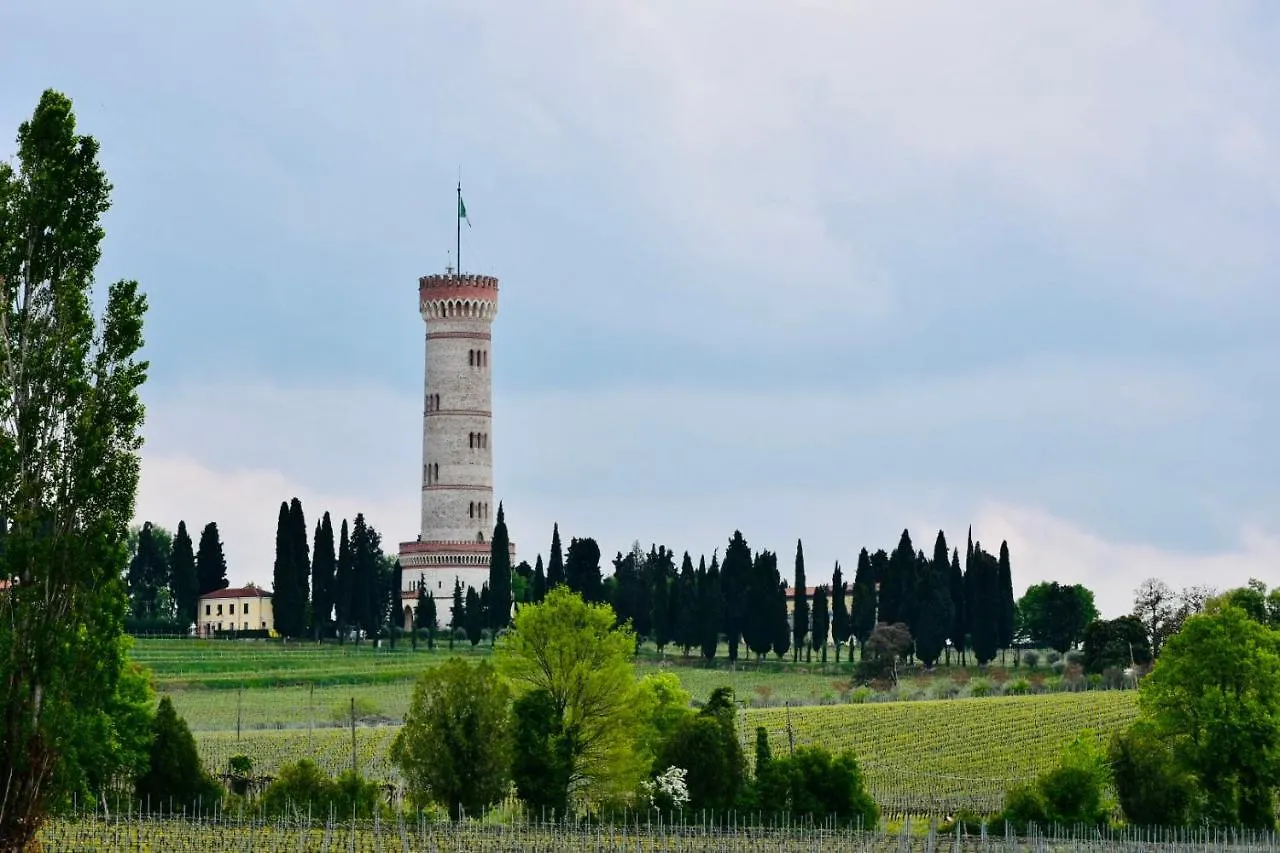 Il Vigneto Bed and Breakfast Desenzano del Garda 0*,