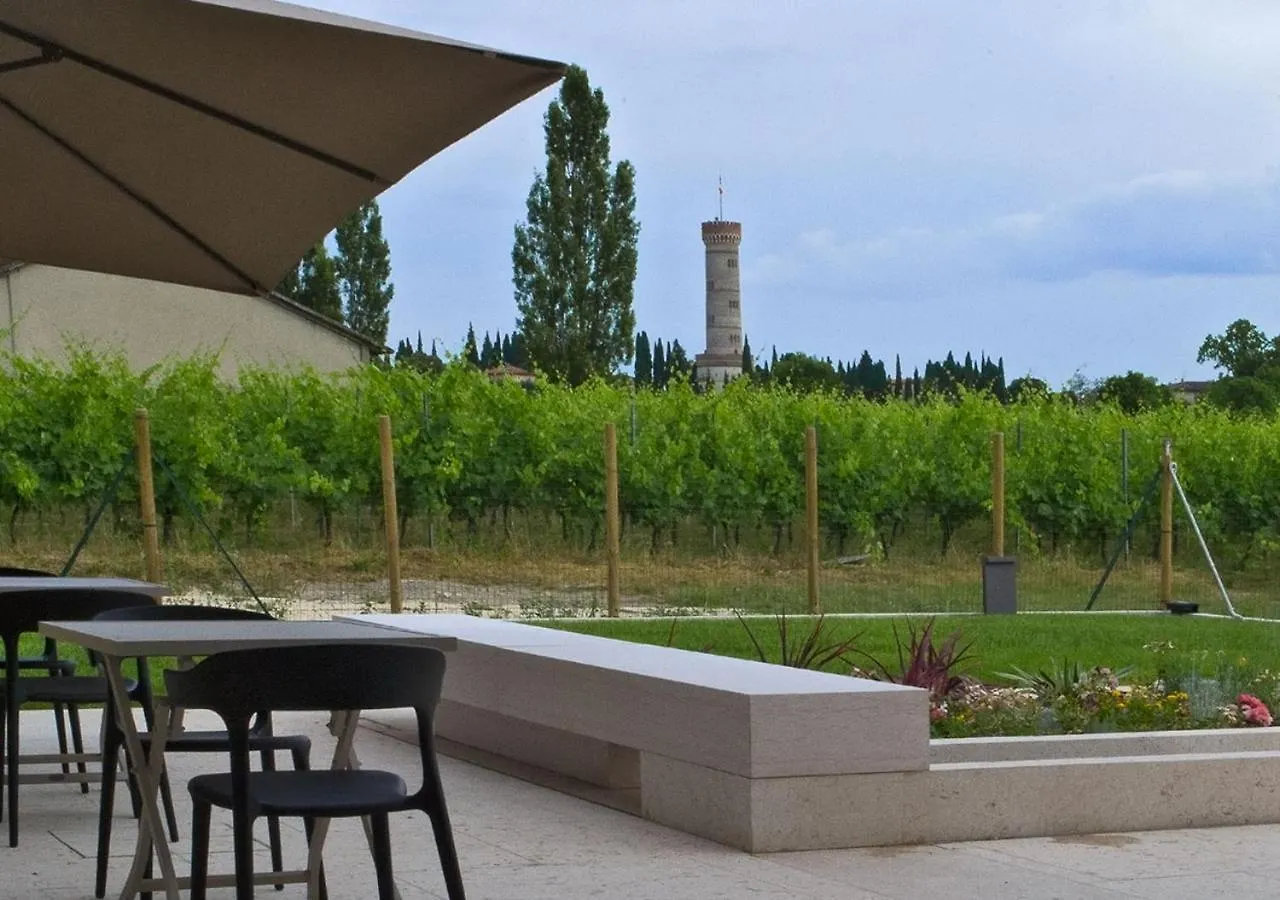 Il Vigneto Bed and Breakfast Desenzano del Garda