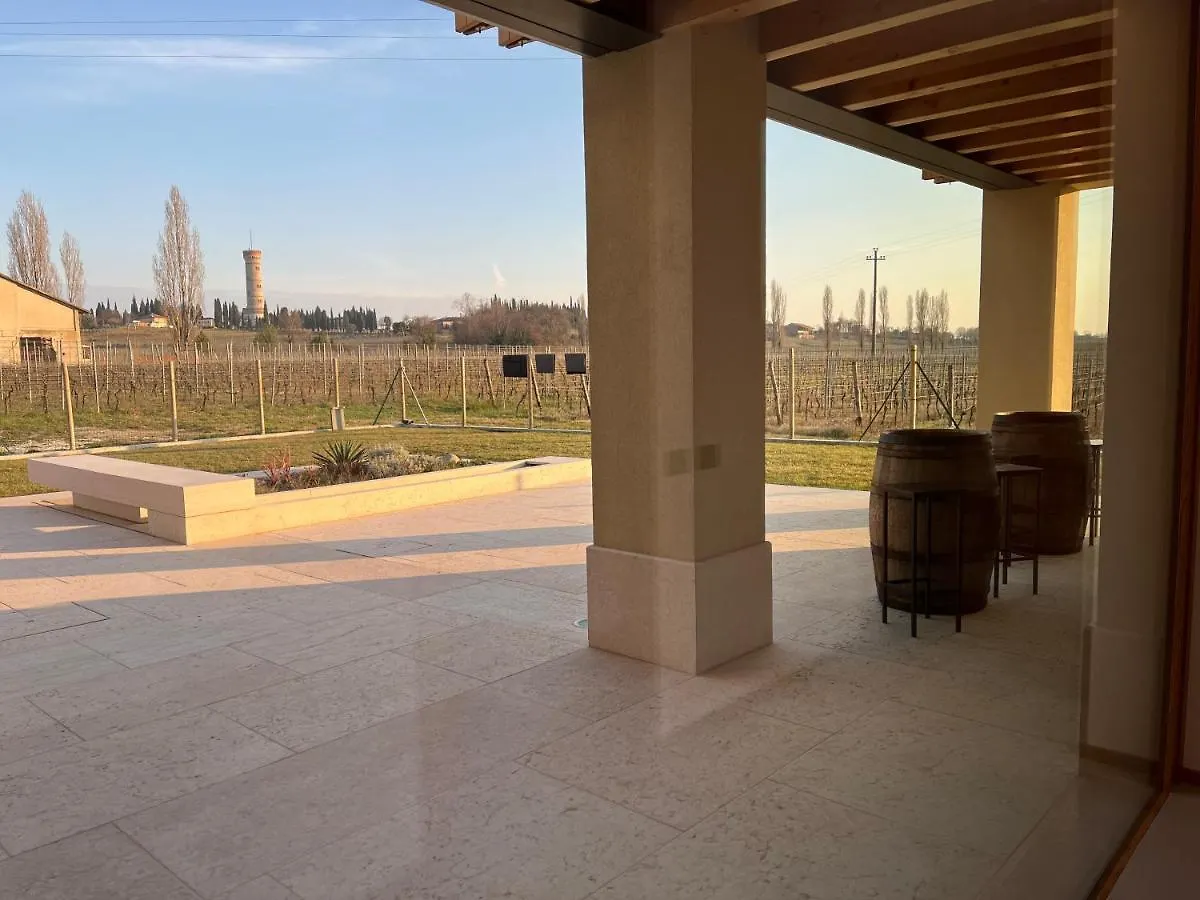 Bed & Breakfast Il Vigneto Bed and Breakfast Desenzano del Garda