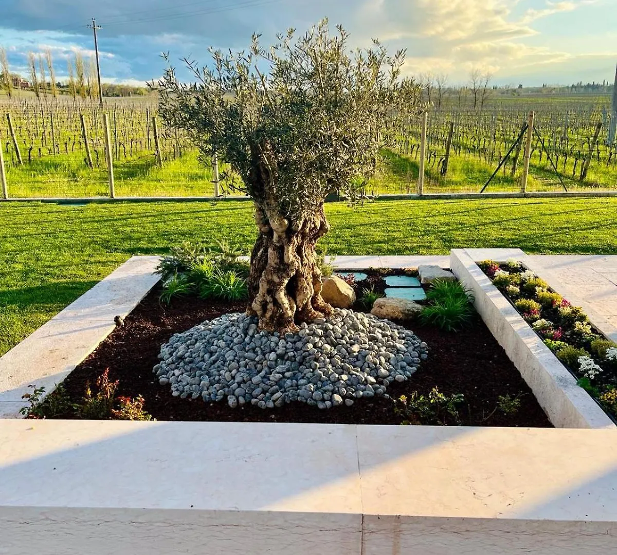 Il Vigneto Bed and Breakfast Desenzano del Garda 0*,