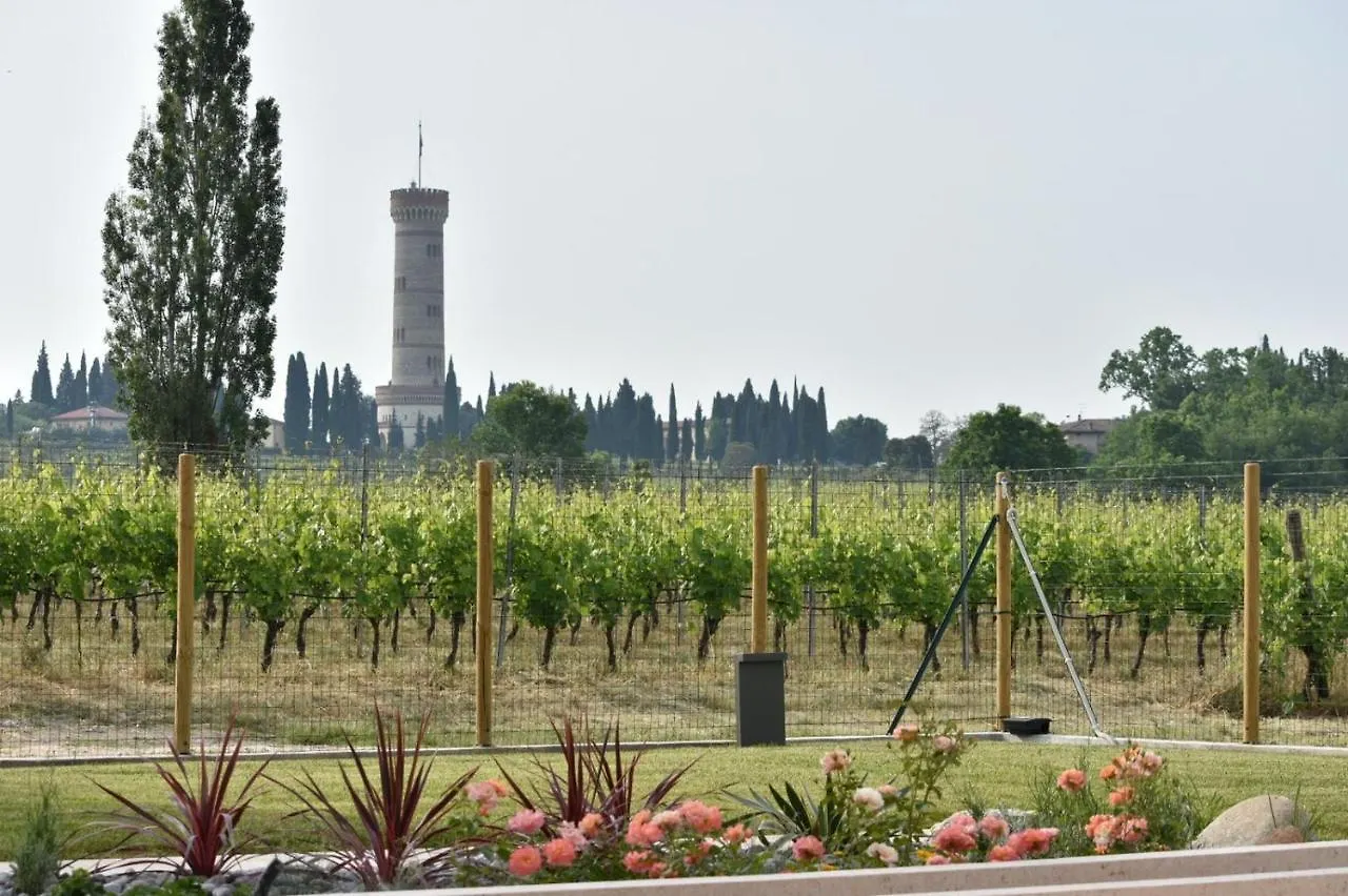 Il Vigneto Bed & Breakfast Desenzano del Garda