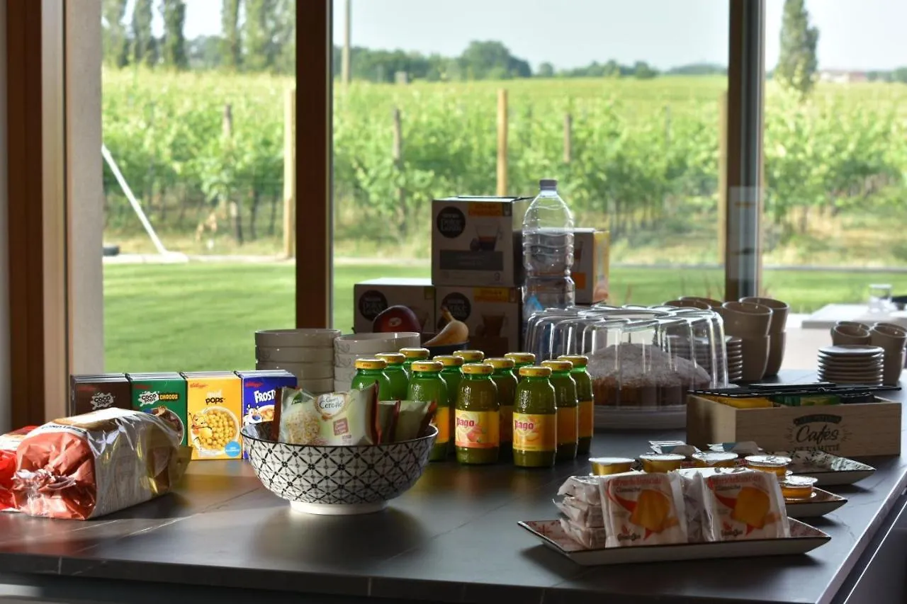Il Vigneto Bed & Breakfast Desenzano del Garda Italy