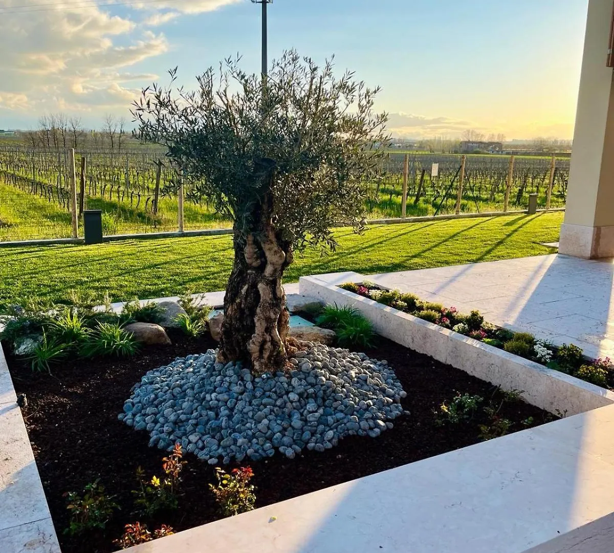 Il Vigneto Bed & Breakfast Desenzano del Garda