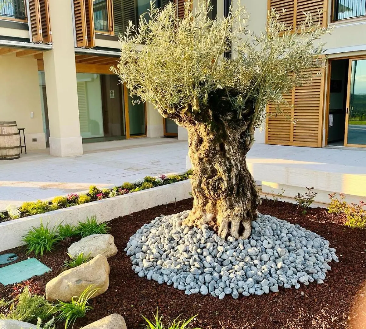 Il Vigneto Bed & Breakfast Desenzano del Garda 0*,